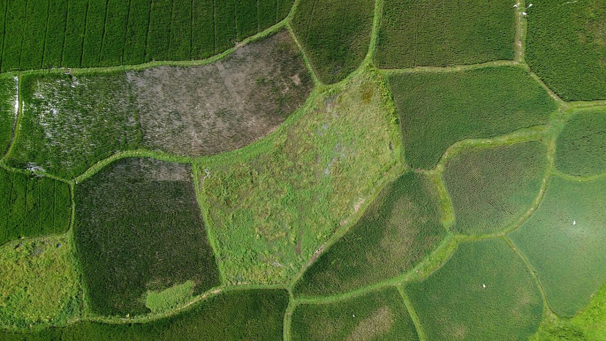 terrain agricole vue aérienne