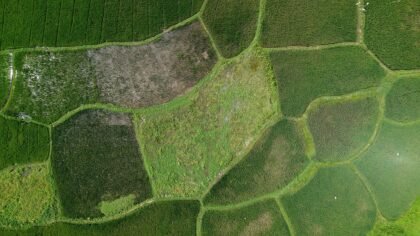 terrain agricole vue aérienne