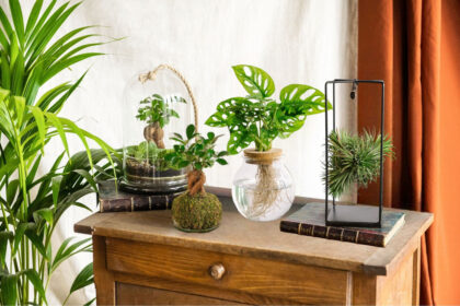 Objets de décoration design posés dans un salon : lampe, vase en céramique et plaid sur un canapé