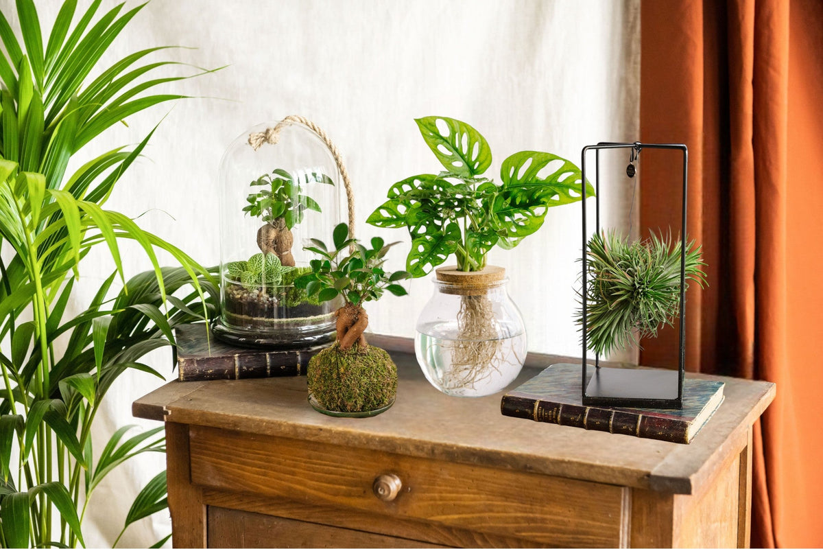 Objets de décoration design posés dans un salon : lampe, vase en céramique et plaid sur un canapé